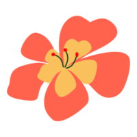Hibiscus flower illustration for design element png