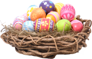 Happy Easter day eggs in nest png
