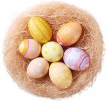 Happy Easter day eggs in nest top view png