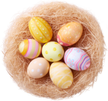 Happy Easter day eggs in nest top view png