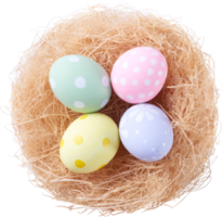 Happy Easter day eggs in nest top view png
