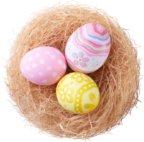 Happy Easter day eggs in nest top view png