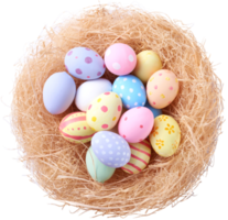 contento Pasqua giorno uova nel nido superiore Visualizza png