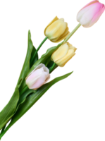 tulp bloem voor gelukkig Pasen dag png