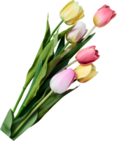 tulipano fiore per contento Pasqua giorno png