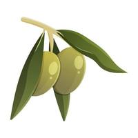 Green olives with leaves. Vector isolated illustration