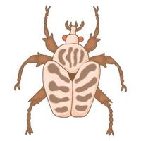 icono de insecto, estilo de dibujos animados vector