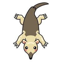 pequeño y lindo personaje de dibujos animados tamandua vector