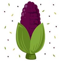 purple corn or maize illustration with ornament isolated on white background vector