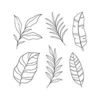 Set of Hand drawn tropical leaves element. Vector illustration isolated on white background