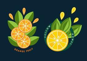 Set of logos, emblems, badges with orange, lemon, green leaves, fruit slices. Good for decoration of food packaging, groceries, agriculture stores, advertising. Flat style vector