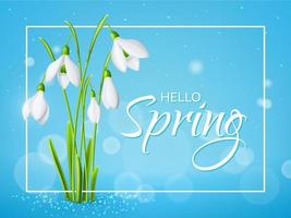 Snowdrop flowers spring season background vector