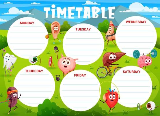 Education timetable cartoon human organs sportsman