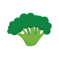 Fresh broccoli icon, flat style vector