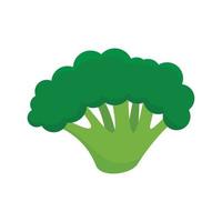 Fresh broccoli icon, flat style vector