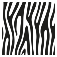 Black stripes on the skin of a zebra for decoration graphics png