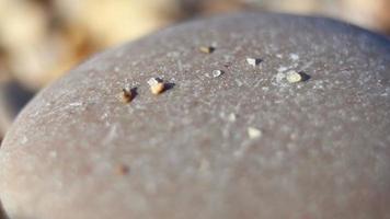 Grains of sand close up video