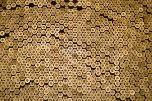 Pattern of 12 gauge cartridges for shotgun bullets. Shells for hunting rifle close up. Backdrop for shooting range or ammunition trade concepts photo