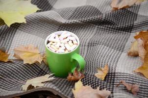 Autumn leaves and hot steaming cup of coffee lies on checkered plaid outdoors photo