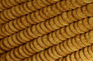 Closeup of salted crackers photo