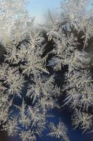 Snowflakes frost rime macro on window glass pane photo