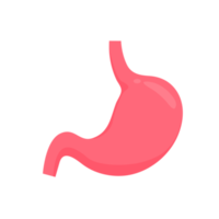 Magen-Symbol. Der Magen enthält Magensaft, um die Verdauung zu unterstützen und zum Darm aufzusteigen. png