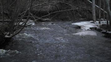 video hd de un río que fluye, corriente de río en un arroyo de montaña