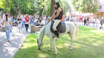 cheval au parc video