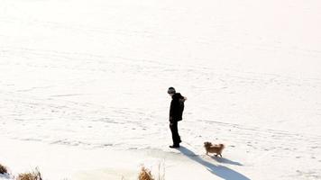 gente caminando sobre hielo, día de invierno video