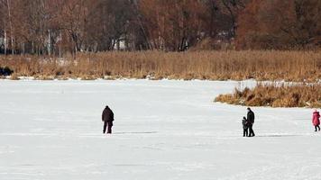 människor gående på is, vinter- dag video