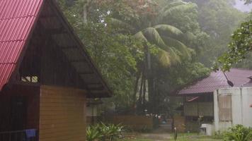 phan nga, thailand 23. november 2016 - bungalow im regenwald auf einer koh miang-insel, während eines tropischen regengusses, similan-inseln video