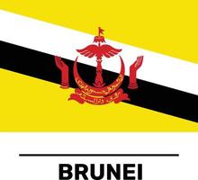 bandera de brunei archivo vectorial completamente editable y escalable vector