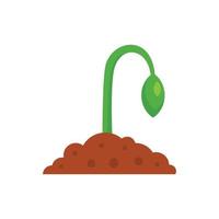 Grow seed plant icon, flat style vector