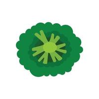 Top view broccoli icon, flat style vector