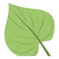 icono de hoja tropical grande, estilo de dibujos animados vector