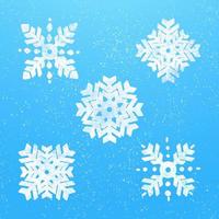 Snowflakes collection winter theme illustration vector