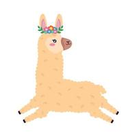 llama con flores en la cabeza vector