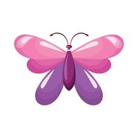 pink and lilac butterfly insect vector