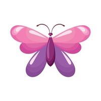 pink and lilac butterfly insect vector