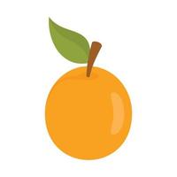 Fresh apricot icon, flat style vector