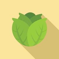 Diet cabbage icon, flat style vector