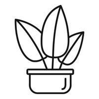 Tropical leaf houseplant icon, outline style vector