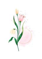 Beautiful flower with brunch in watercolors style on pink color and white background. vector