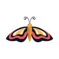 black and red moth insect vector