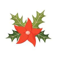 christmas flower and leafs vector