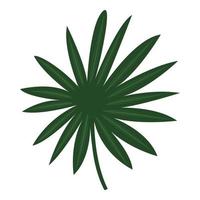 Fan palm leaf icon, cartoon style vector