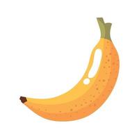 fresh banana fruit healthy vector