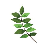 green branch with leafs vector