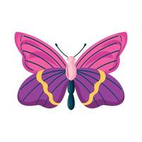 insecto mariposa rosa y morado vector