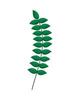 branch with leafs vector